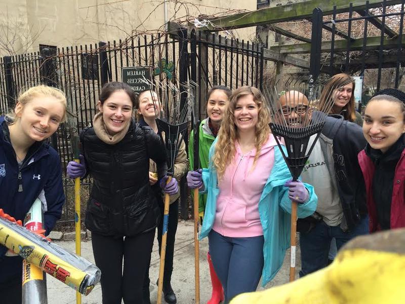 Barnard students work at Harlem Grown 